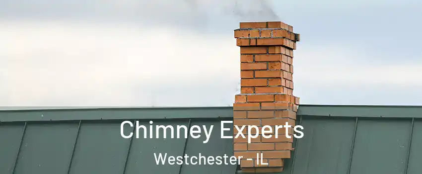 Chimney Experts Westchester - IL