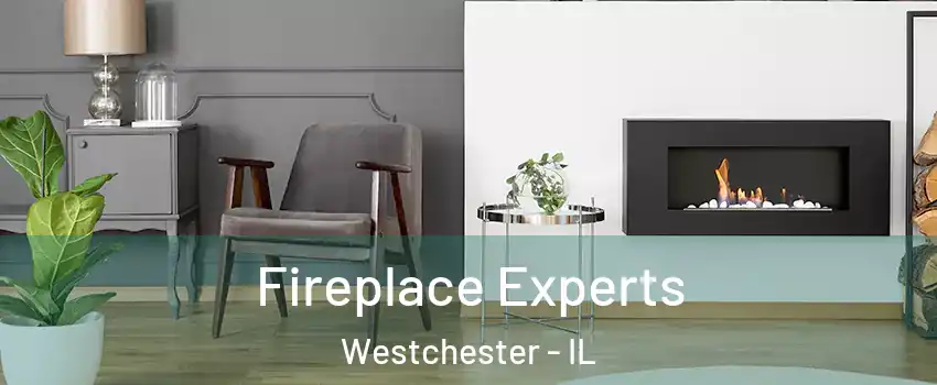  Fireplace Experts Westchester - IL